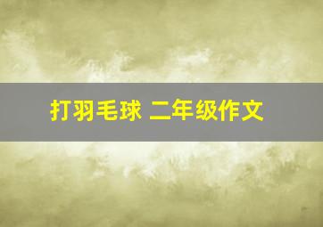 打羽毛球 二年级作文